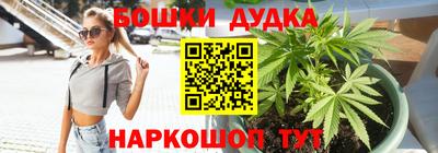 шишки Будённовск